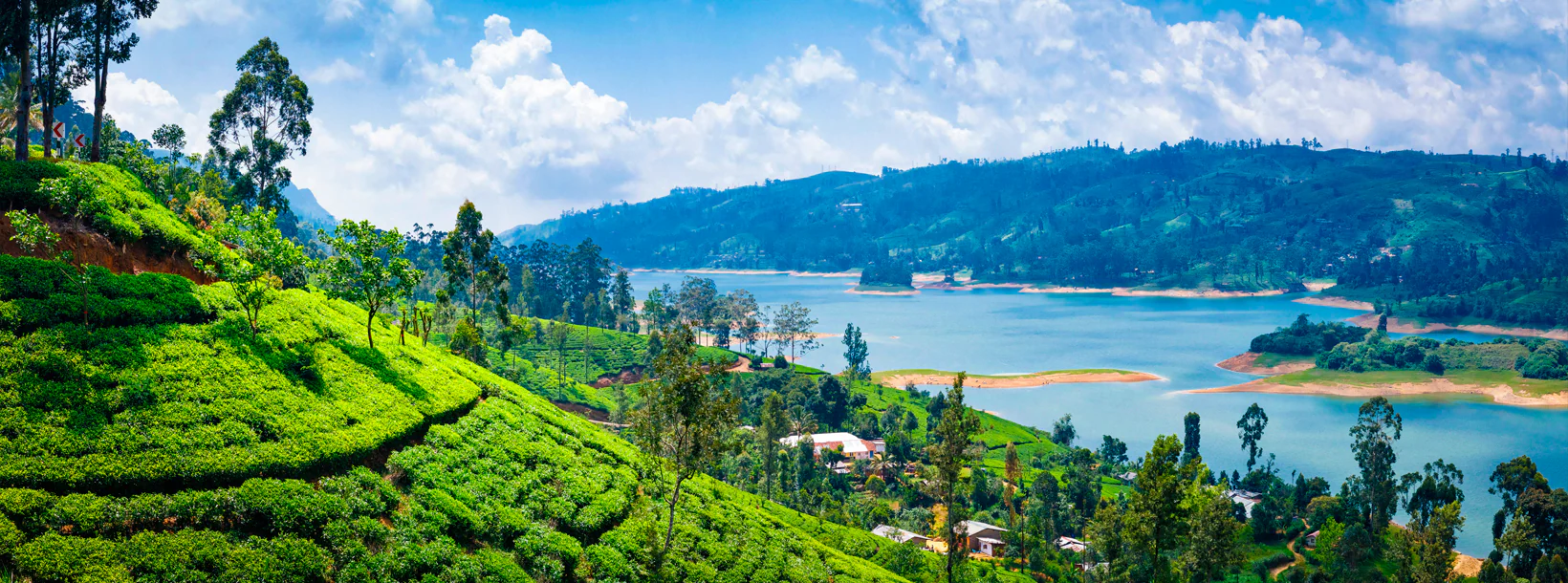 Nuwara Eliya